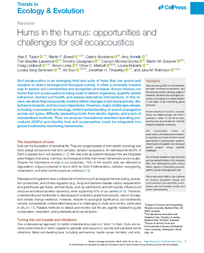 Hums in the humus_Thumbnail