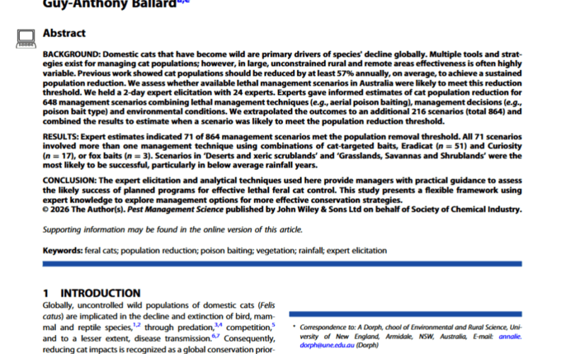 Predicting feral cat responses to management