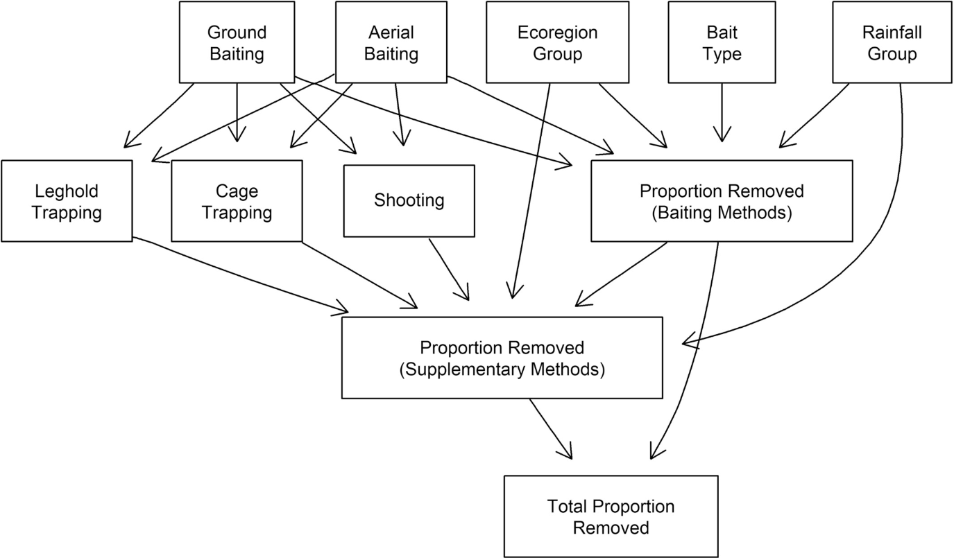 Feral cat management