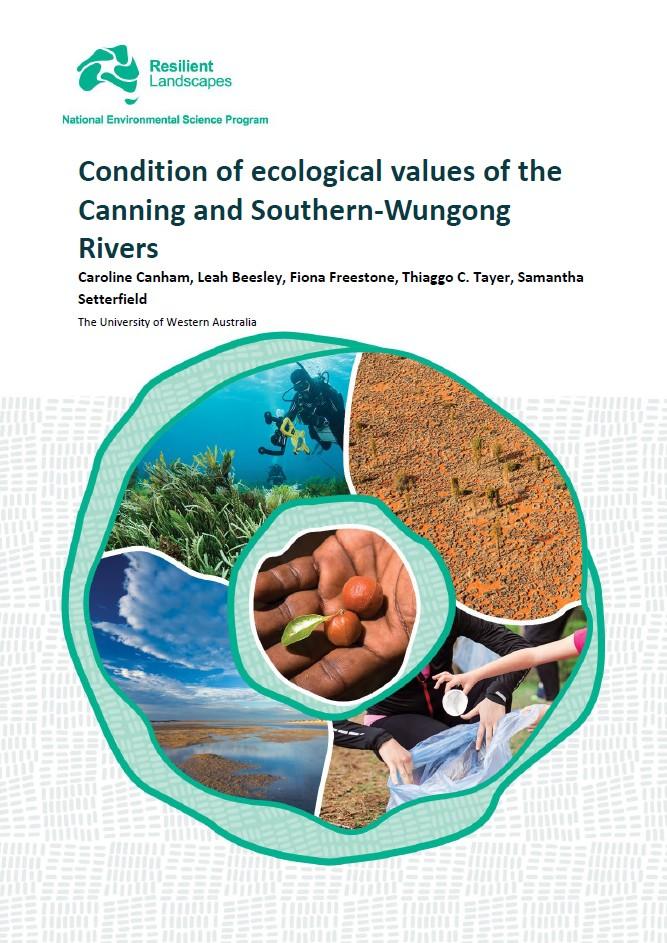 Canning current condition report