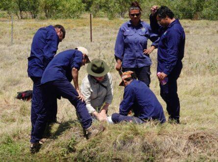 Bilara (wetland) monitoring video - thumb