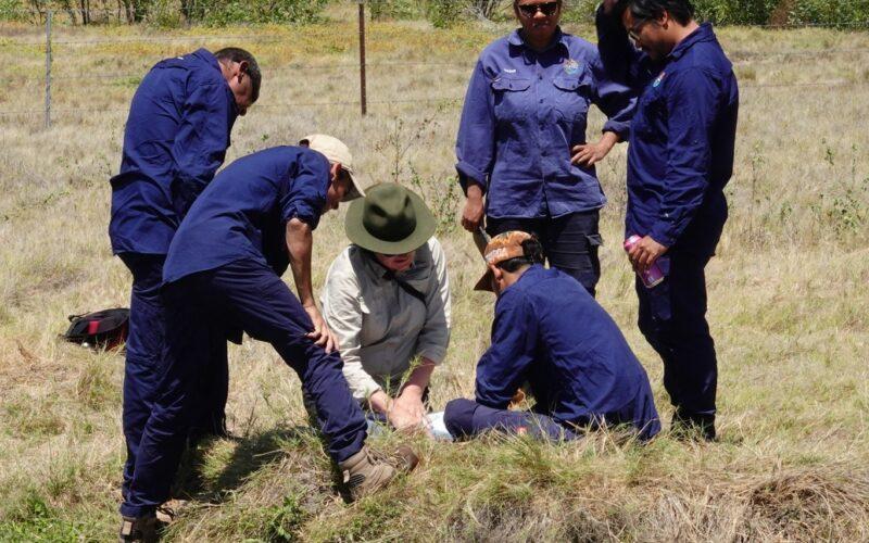 Bilara (wetland) monitoring video - thumb