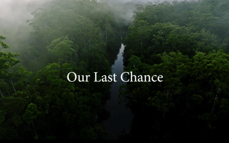Our Last Chance - thumb