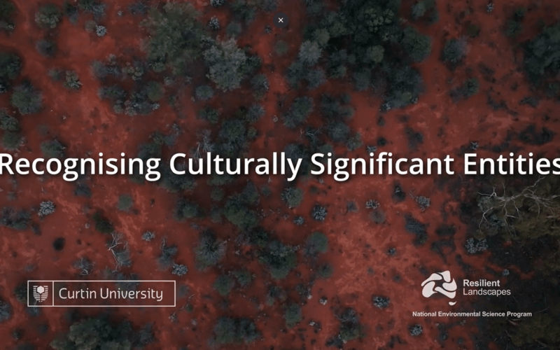 Recognising Cultural Significant Entities - thumb