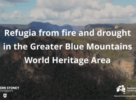 Refugia from fire and drought in the Greater Blue Mountains World Heritage Area (video) - thumb