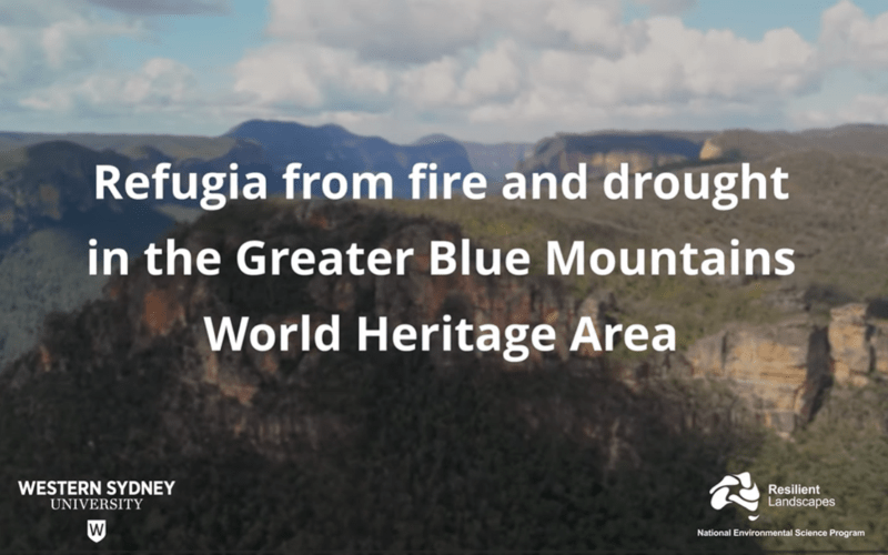 Refugia from fire and drought in the Greater Blue Mountains World Heritage Area (video) - thumb