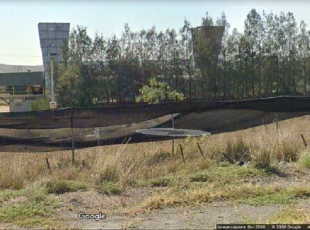 Vegetation screens can reduce the visual impact of development, but may also hide the true scale of environmental damage