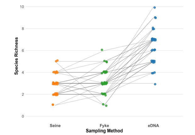 Species richness detected by Seine, Fyke and eDNA methods across 34 wetland sites.