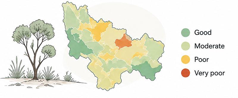 Landscape condition states