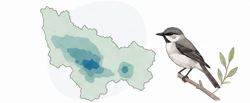 Mallee bird habitat suitability