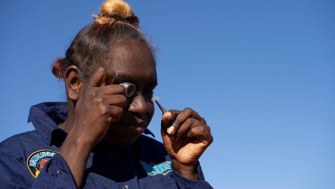 Ngururrpa Ranger Lucinda Gibson examines a night parrot feather she found. (Photo: Salty Davenport)
