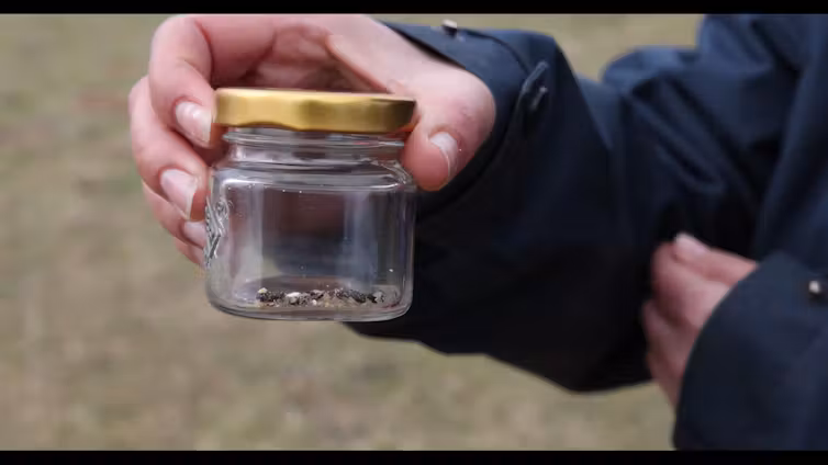 A sample of Victorian grassland earless dragon scat.